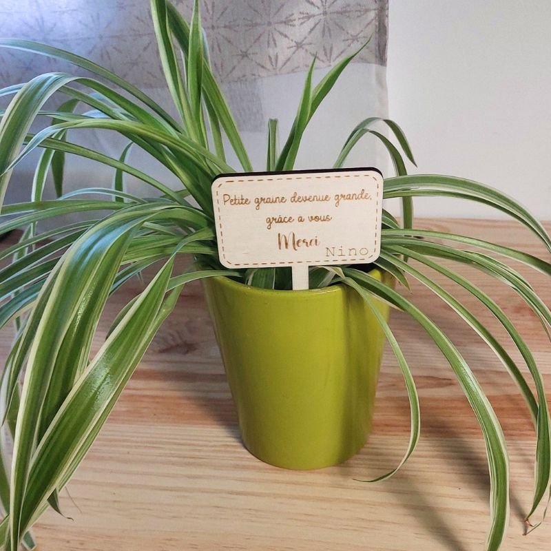 Pieu de Plante personnalisé - Cadeau de fin d'année – Image 5