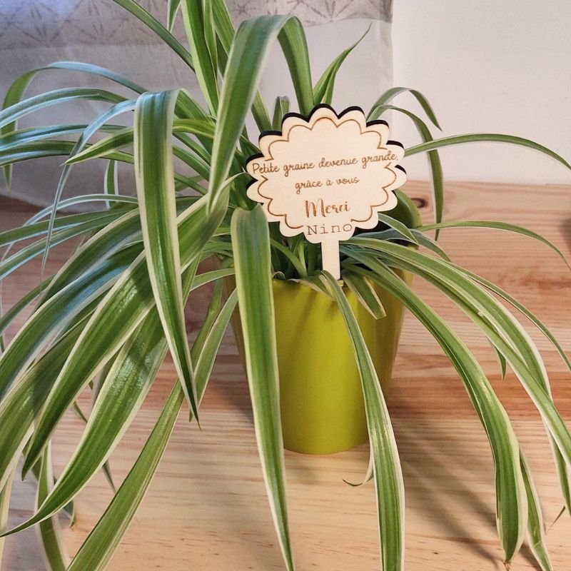 Pieu de Plante personnalisé - Cadeau de fin d'année